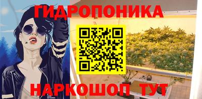 индика Краснокаменск