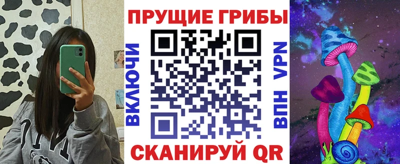 Псилоцибиновые грибы мухоморы  сайты даркнета телеграм  Елизово 